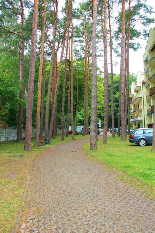 Smm Apartament Gryf Morskie Oko 미엥지즈드로예 객실 사진