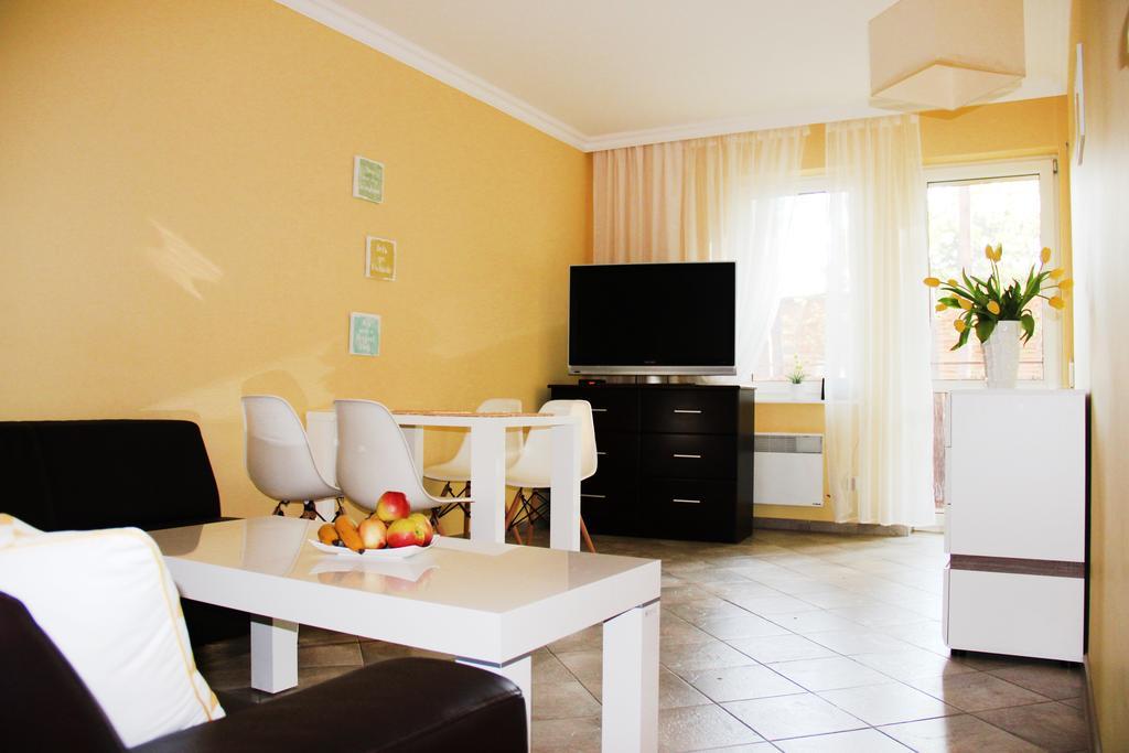 Smm Apartament Gryf Morskie Oko 미엥지즈드로예 외부 사진